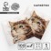 Paper Single -layer “kitten” wipes, set of 100 pieces, 24 × 24 cm