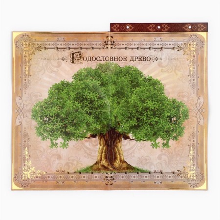 The genealogy book with a frame under the photo "Pedigree Book", under a tree, 50 sheets, 21.5 x 23.7 cm-13