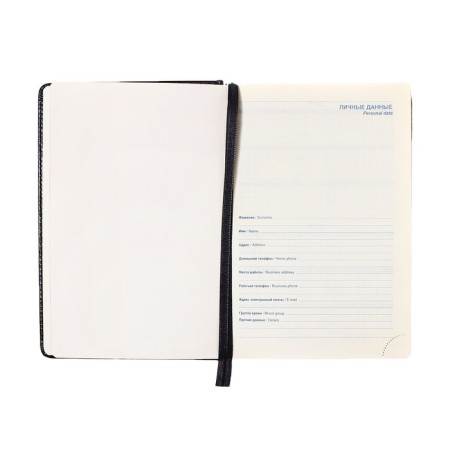 Diary of 2025 A5, 168 sheets in a ruler, leatherette "Nebraska", silver cut, black-5