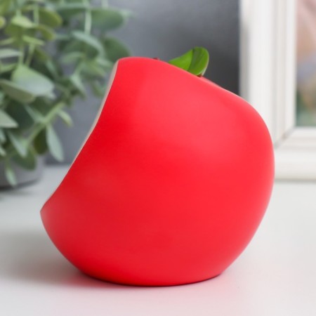 Souvenir Polystone Light "Diplon in Apple" MIX 3HLR1130 10x7.6x10 cm-5