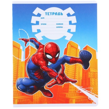 Notebook in a cage 12 sheets, 5 types of mix, cover coated cardboard, spider-man-10