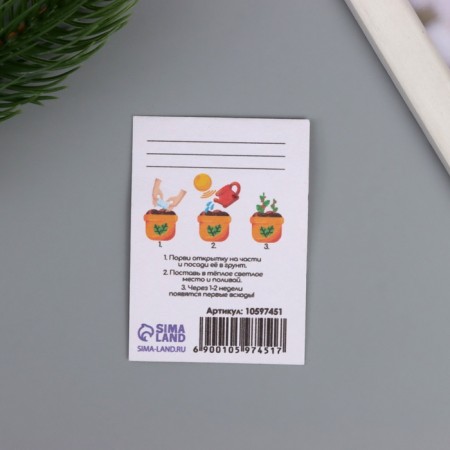 Postcard with seeds "grow itself" "for you" 5*7cm-2