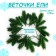 Decor "spruce spray", set of 10 pcs., Size 1 pc. - 13 × 9 × 3 cm