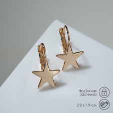 Earrings Metal 