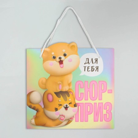 Gift package, packaging, "Surprise", 25 x 26 x 10 cm-5