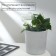 Auto -polywave for indoor plants, PVC, "Heart", Greengo