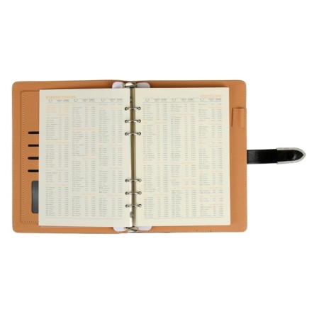 Organizer on the rings A5, 90 sheets in the ruler, with a stream, mix-11