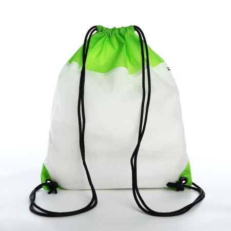 Bag for painting "Dinosaur" 34x40 cm, spanbond-5