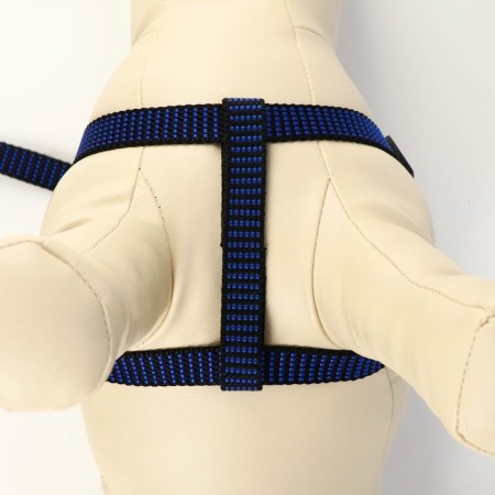 Acunition set is embossed, leash 120 x 1.5 cm, OG 36-49 cm, blue-black-3