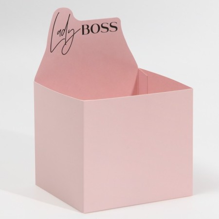 Box boxes "Lady Boss", 12 × 20 × 10 cm-1