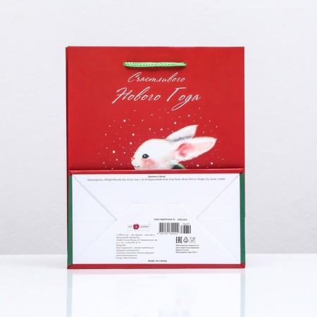 Gift Package "Happy New Year. Zaika", 18 x 22.3 x 10 cm-1