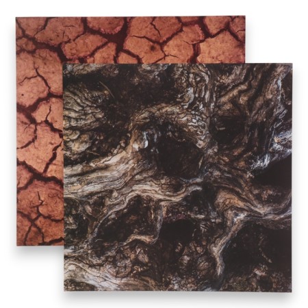 Photophone bilateral cardboard density 350 g "Earth" 50x50 cm