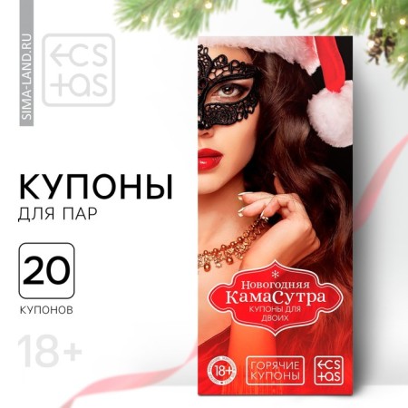 New Year's coupons for the steam "New Year: KamaSutra", 18+