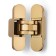 Loop of Lockland hidden installation, 30x110 mm, with 3D regulation, color matte gold