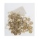 Tundra nails, decorative, textured, 11x16 mm, gold, 100 pcs