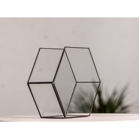 Florarium "Sot 3d" (Switch silver)-1