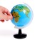 Developing set "Globe - study the animal world"