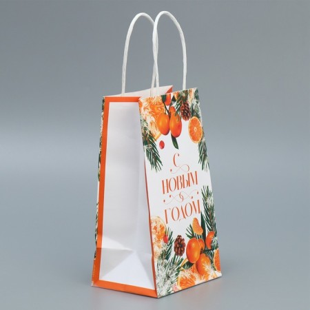 Package Gift Crafts "New Year's Citrus", 12 x 21 x 9 cm, New Year-2