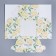 Capcake box, confectionery packaging with a window, 4 cells "White Roses", 16 x 16 x 10 cm