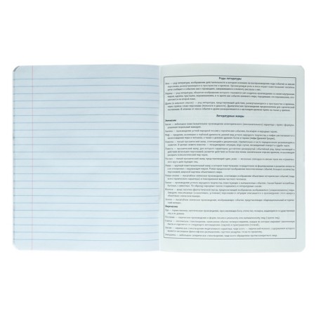 A notebook “Bright details”, 48 sheets in the Literature line, covered cardboard, selective twin-lak, UV-lak, OFSET block-4