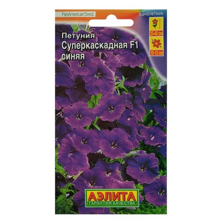 Petunia Supercam West F1 Blue, 10 pcs-4