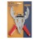 Ticks for installing piston tundra rings, rubberized handles, 50 - 100 mm