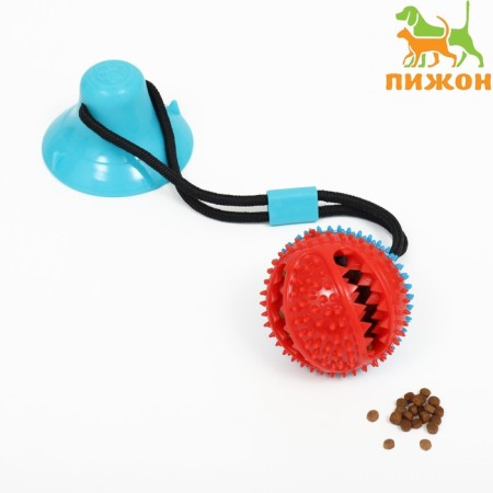 Dog toy "Ball for treats on a suction cup", 40 x 8 cm, blue