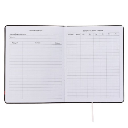 Universal diary for grade 1-11 High Voltage, integral cover, artificial leather, silkography, liesse, 80 g/m2-4