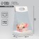 Box Gift folding carrion for colors, packaging, "tenderness", 20 x 20 x 4 cm
