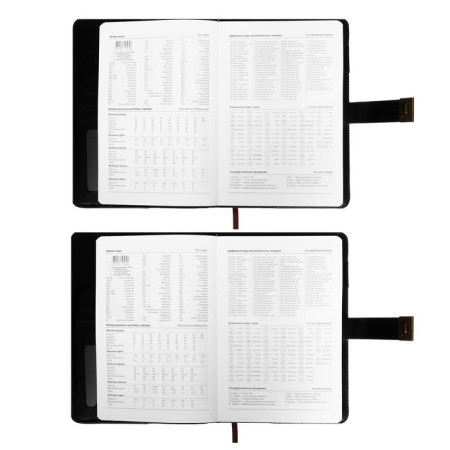 Diary of a low -up A5, 100 sheets in a cage, with a strap, leatherette cover (with a code lock) mix-16