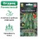 Cucumber seeds "All with a bundle", F1, 10 pcs.