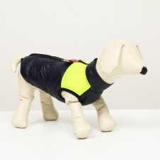 Lightning dog jacket, size 8 (ds 23 cm, og 30, Osh 22 cm), blue with yellow