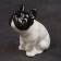 Porcelain figurine "French bulldog white-black", 8 cm, copyright painting