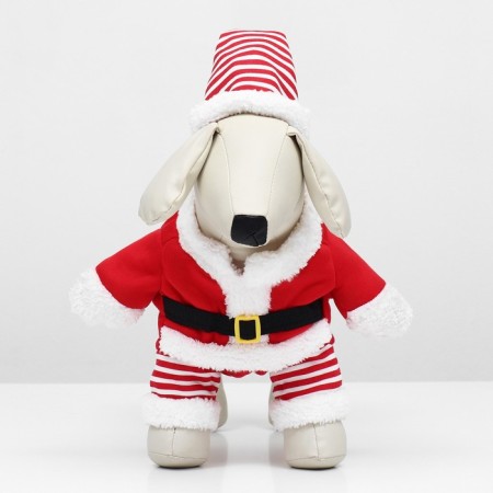 New Year's costume for dogs "Klaus", size S (DS 25, OG 35 cm)-4