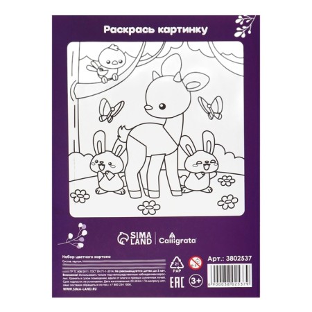 Cardboard of color two -sided A5, 8 sheets, 8 colors "Olena", non -220 g/m2, in the folder-6