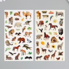 Plastic sticker 