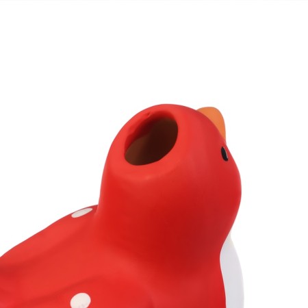 The irrigator "Bird", 16.5 × 8.5cm, color mix, set 4 pcs.-9