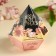 Sweets "Blow with happiness" with a prediction, 150 g.