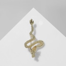 Brooch 