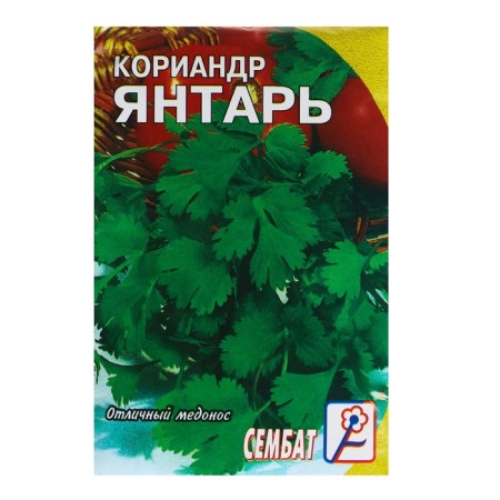 Coriander seeds "Amber", 5 g