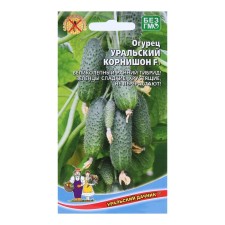 Seeds of the Cucumber 