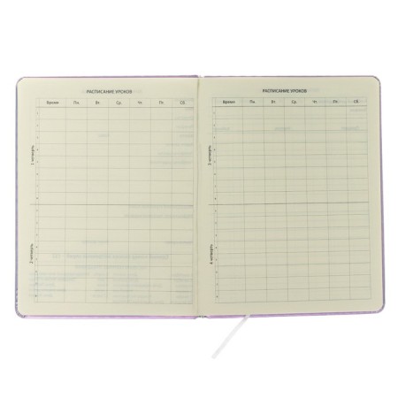 Universal diary for grade 1-11 Inspire, hard cover, artificial leather, foam rubber, lies, 80 g/m2-4