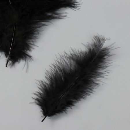 Pen decorative goose down "Black" set 40 pcs h = 10-15 cm-2