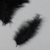 Pen decorative goose down "Black" set 40 pcs h = 10-15 cm