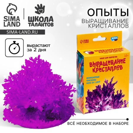 Set for creativity "radiant crystals", purple color