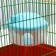 House for corner rodents, 11.4 x 10.7 x 10.7 cm, blue