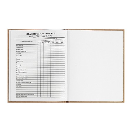 Universal Diary 5-11 classes, 48 ​​sheets "graffitist", craft, solid cover, foil embossing, block 65g/m2-9