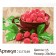 Picture on numbers on canvas with the subframe "Ripe Raspberry", 30x20 cm