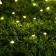 Garland "thread" 10 m Rosa, IP44, silver thread, 100 LED, warm white glow, 2 modes, solar battery