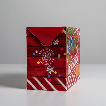 Package - New Year's Parcation, 28 x 20 x 13 cm, New Year-2